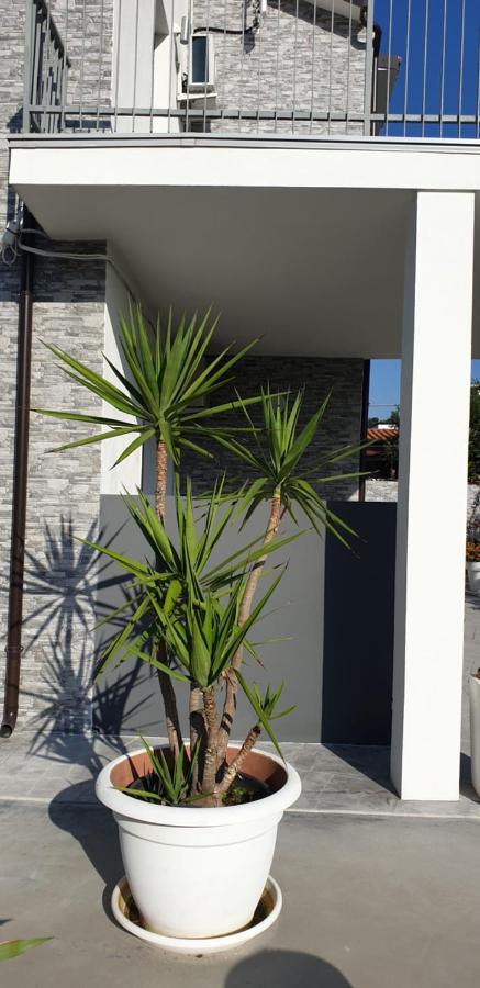 Un Passo Dal Mare Bed&Breakfast San Salvo Marina Esterno foto