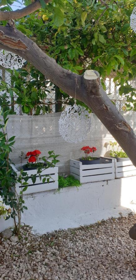 Un Passo Dal Mare Bed&Breakfast San Salvo Marina Esterno foto